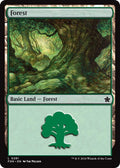 Forest (0281)